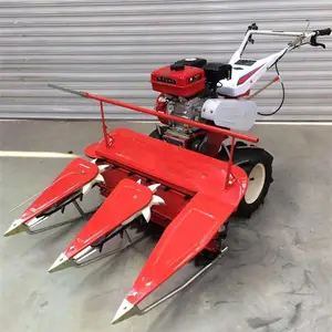 �������ݸ�� С����ޣ���ݸ�ɹ�� ��������ʽС���ո��