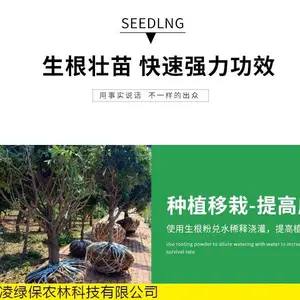 辉隆宝叶面肥_微量元素补充剂