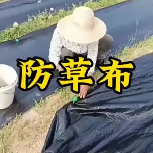 果园防草布 果树专用抑草布透水耐用***茶园葡萄园编织除草布