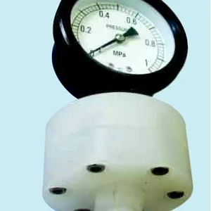 全塑隔膜压力表 PTS-100.AO.104-F