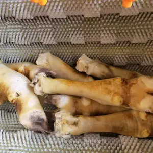 ����ϴţ����� ������ϴ�� �����ƻ���ţ����ˢϴ����