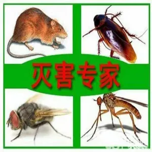 上海除蟑螂公司专业除蟑螂灭鼠极速见效