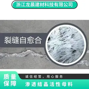 龙晨防水涂料微膨胀补偿收缩物化反应深入混凝土内部水泥基渗透