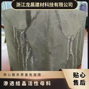 龙晨高分子聚合物防腐耐老化防水效果长久水泥基渗透结晶母料防