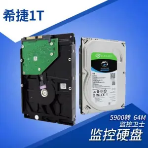 希捷（SEAGATE）酷鹰 企业安防监控录像机械硬盘 1TB ST1000VX005