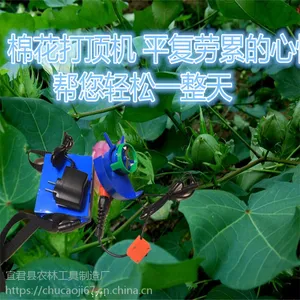 棉花打顶机掐尖机打尖机厂家直销质量可靠