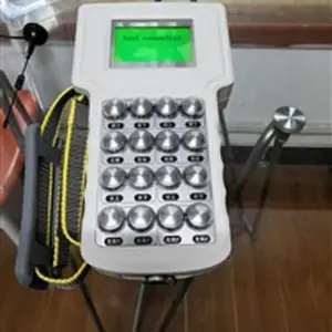 南京帝淮双葫芦快慢速起重机无线遥控器