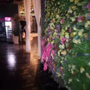 龙岗区,灭马蜂,灭老鼠,防治驱赶方法
