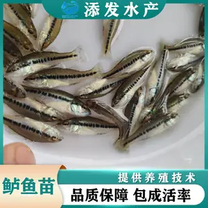 �㶫������������������������ˮ�� �����������