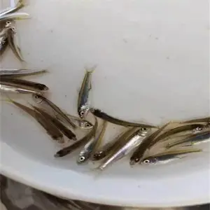 ����������ֳ ��ˮ������ 4-8���ֻ��������
