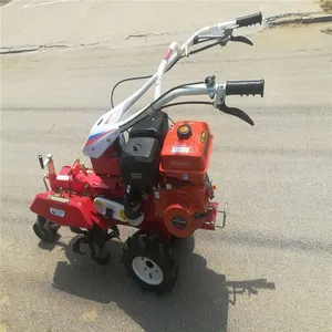 ����������������� �������ũ���ڹ��� 186������԰������