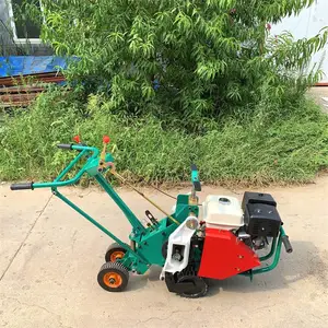��Ƥ���ݻ� �����ƺ������ ��ֲ��Ƥ���������ͻ�������