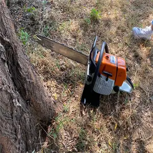 ��Я��������װ˳�� ��ʽ������ɽ���������������Ի�ͼƬ