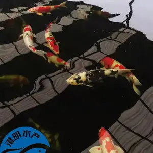 ��ҵ���ʻ��ձ���׽�������_����ˮ������������繩Ӧ��-ɫ�ʰ��
