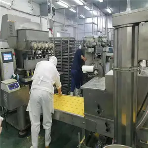 CG-600��ȫ�Զ�ѩ�����Ͽ��� �๦�ܹ����豸
