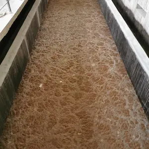 睿明德泽环境 高效污水处理复合菌种 污水处理高效去除有机污染物菌种 污水处理高效复核菌种菌剂
