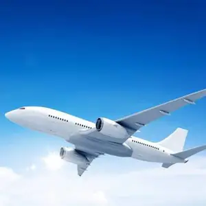 ��ɽ��̹ɣ���ǿ��˺���DHL���ʿ��һ��һ�����������