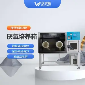 YQX-11实验室厌氧培养箱 手套箱 无氧环境细菌培养装置工作站