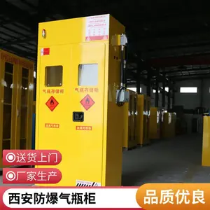 全钢气瓶柜(双瓶) 防爆气瓶柜(单瓶)氢气防爆气瓶柜(叁瓶)
