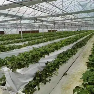 江西温室大棚造价 欢迎咨询 厚本温室供应