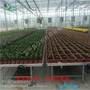 专家好评移动苗床厂家-专注温室苗床生产10年-河北汉明