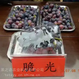 ��������ء������������硢��������ʯ�������ֻ�