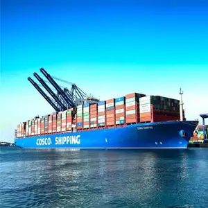 �������ͻ�˹̹�Ŷ��Ź��ʻ��� ���ʺ��� ����ȫ�̸���