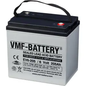 德国VMF蓄电池EV6-205 6V205AH（进口）高尔夫球车洗地机动力电池