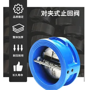 �ϸ߷��� ���ζԼ�ʽֹ�ط� ̼�����ܷ�ֹ�� �� H76H DN100