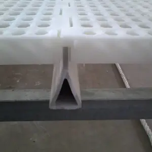 ɢ��Ѽ��©��� ����©��� �������ƽ������