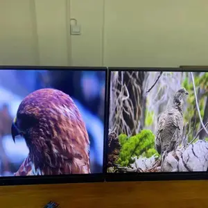 33.2寸1:1方形显示器DV332X2M-NV0 可定制方屏触摸一体机，方屏安卓广告机