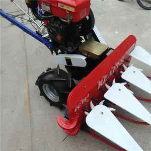 �����ո����̨�����ոѸ�ɹ���ƶ���ֲС���ո��