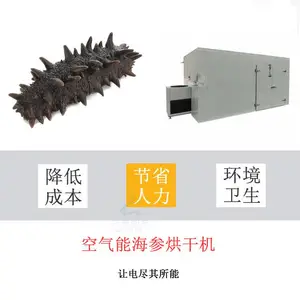 海参烘干机 海鱼烘干房 鲍鱼干燥箱 厂家批发 大小可定制