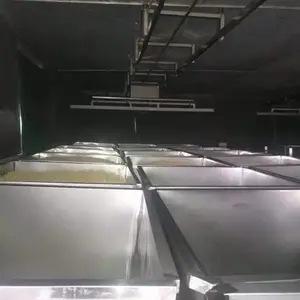 新疆日产5吨大型豆芽生产线设备厂家供应