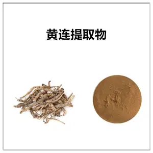 黄连提取物10:1 浸膏粉 喷雾干燥 可水溶 沃特莱斯生物