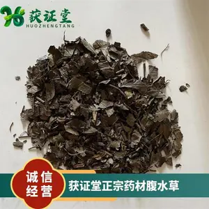 获证堂正宗药材腹水草 无硫中药材仙桥草 原材料翠梅草出售