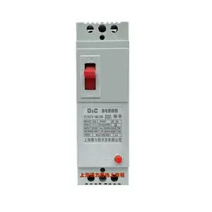 ��̩©���ܿǶ�·�� DZ15LE-40/3901 ��բ/�ɵ��� �������� ������