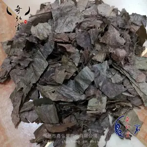 中药材腹水草有卖的