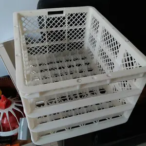 ���������ֵ��� �ܽ����� ���ϼ�����