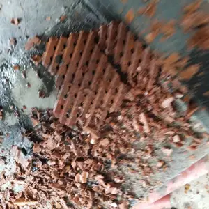 ʯ��ׯ ɱ���������ζ��ʢ�¹�˾