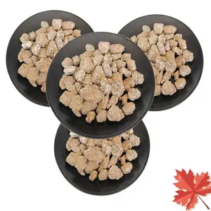 �������� �մ���� ���������ʯ����2-4mm �����������
