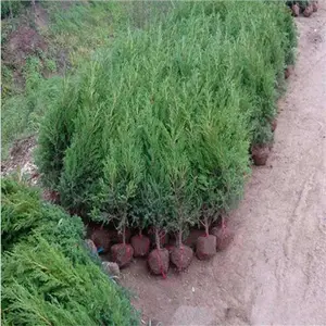 ���ػ���ֱ�� 30����40�������ء�1��1.5������ 2������