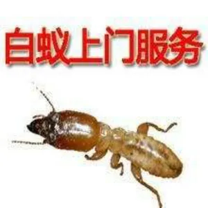 ��ɳ����***���ĵ绰 ��ͥ����*** �ػ����ļ�
