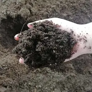 绍兴泥炭土-泥炭土作用-安徽春分(推荐商家)