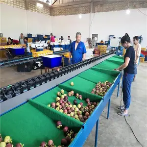 ���Է�ѡ���������� ɽ����ѡ��С ���߷�ѡ�ּ� �๦�ܷ�ѡ�豸