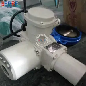 ����AC220V�ֵ����õ綯�������ܷ�綯�Լе���