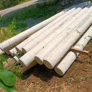 �ЬBֱ��30�ֽ��������ľ׮ ˮ�����¹���ˮ��ӵ�׮