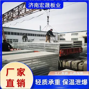 预制建材 钢骨架轻型板 尺寸定做 钢骨轻型屋面板19CJ18工厂