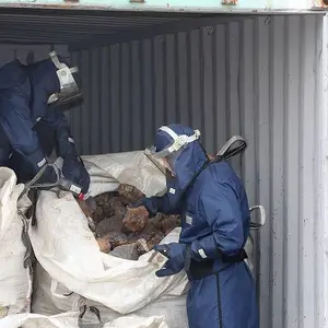 进口冷冻海鲜水产品青岛进口报关行代理