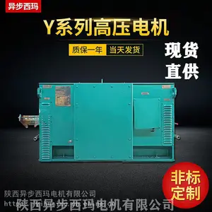 ����������Y5004-10/315KW/10KV��ѹ��ˢֱ�����ԭ��***